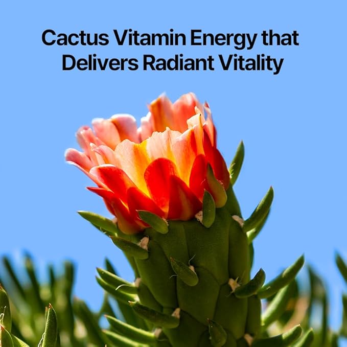 Pyunkang Yul PKY Dancheong Intensive Hand Cream for Dry & Rough Hands, Fast-Absorbing Moisture with Essential Oils, Korean Skincare (75 ml / 2.53 Fl. Oz)