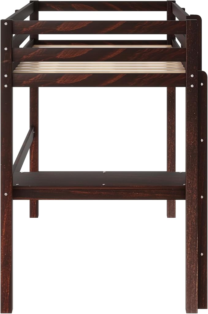 HomSof Modern Twin Loft Bed with Desk and Ladder,Ideal for Small Bedrooms,Espresso