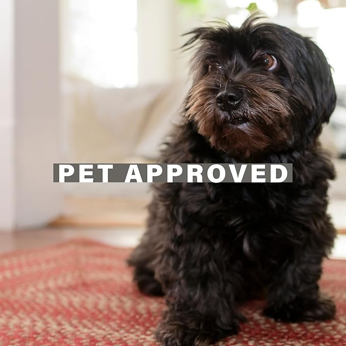 Homespice Apple Pie Jute Red 8x10' Braided Area Rug for Living Room, Bedroom and Dining Room. Pet Friendly. Decor Styles- Farmhouse Rug, Rustic, Vintage, Cottage, Primitive, Country, Boho Rug