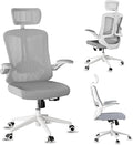 Mesh Office Executive Chair High Back Adjustable Home Desk Chair, Swivel Computer Managerial Chair with Lumbar Support (Grey)