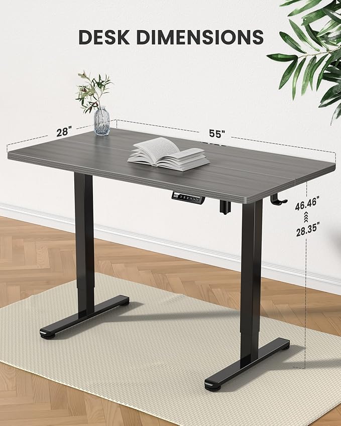 ErGear Height Adjustable Electric Standing Desk, 55 x 28 Inches Sit Stand up Desk, Large Memory Computer Home Office Desk with Two-Piece Desktop (Grey)