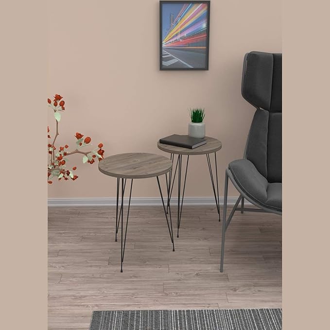 PAK HOME - Set of 2 Pine Wood Grey End Table – Round Wood Sofa Side Coffee Tables for Small Spaces, Nightstand Bedside Table for Bedroom, Living Room, Home Office, Balcony
