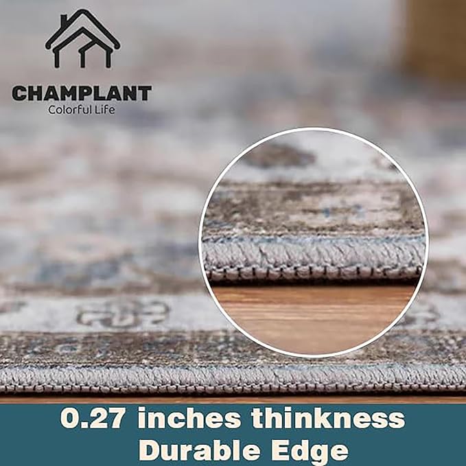 Area Rug 6'x9' Washable Vintage Traditional Floor Cover Thin Retro Kitchen Indoor Distressed Non Slip Carpet for Living Room Bedroom Dining Room