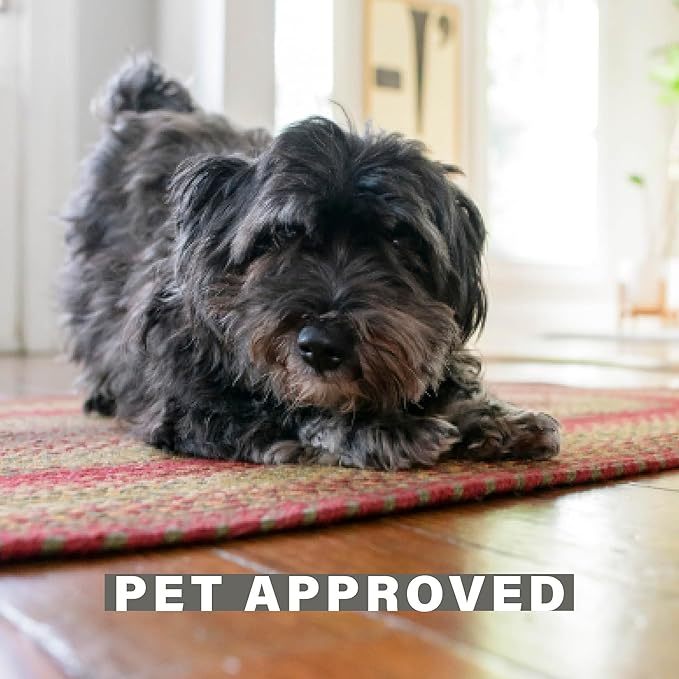 Cider Barn Cranberry Red Oval Braided Rug, Jute, 2x3' - Perfect Country Rustic Decor for Entryway, Kitchen, Everywhere