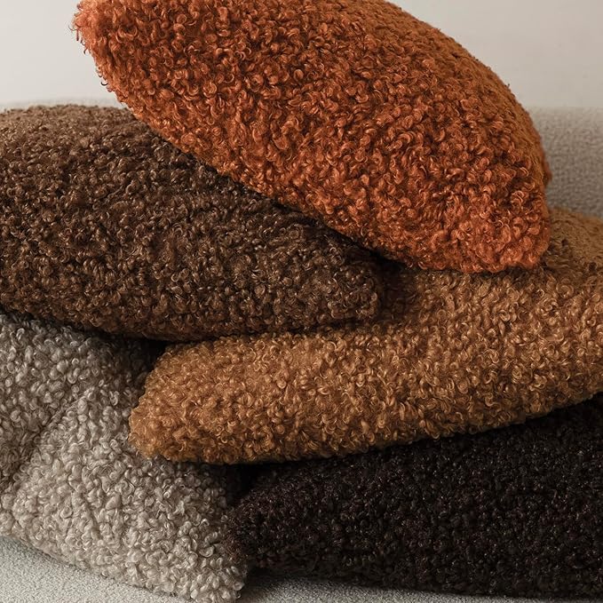 Foindtower 2 Pieces 16x16 Inch Burnt Orange, Faux Fur Throw Pillow Cover Accent Sherpa Furry Pillow Cover Fuzzy Soft Pillowcases Cozy Sheepskin Decorative Fleece Cushion Case for Bed Couch Living Room