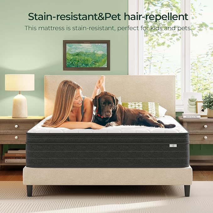 Queen Mattress 10 Inch in a Box - Memory Foam & Pocket Spring Hybrid Mattress for Back Pain Relief, Cool Breathable Fiberglass-Free Cover, Medium Firm, CertiPUR-US Certified