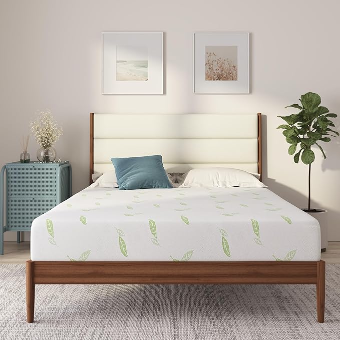 NapQueen Queen Size, 12 Inch Anula Green Tea Infused Memory Foam Mattress, Bed in a Box, CertiPUR-US Certified Mattress