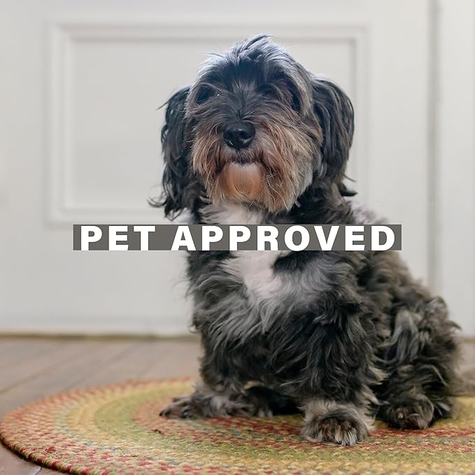 Azalea Multicolor Braided Area Rug, Jute, 4x6' Rectangle - Perfect Country Primitive Decor for Entryway, Bedroom, Everywhere