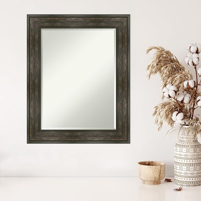 Amanti Art Brown Wall Mirror 30x24 Rail Rustic Char Rectangle Bathroom Mirror for Wall Decor Living Room, Medium Rustic Farmhouse Frame, Hangs Horizonally and Vertically, Bathroom Decor, Beveled Edge