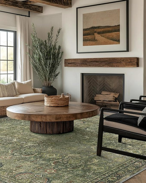 10X14 Area Rugs Machine Washable Rugs for Living Room, Vintage Boho Large Rugs for Bedroom Dining Room, Non Slip Indoor Soft Distressed Lightweight Thin Low Pile Carpet, Green