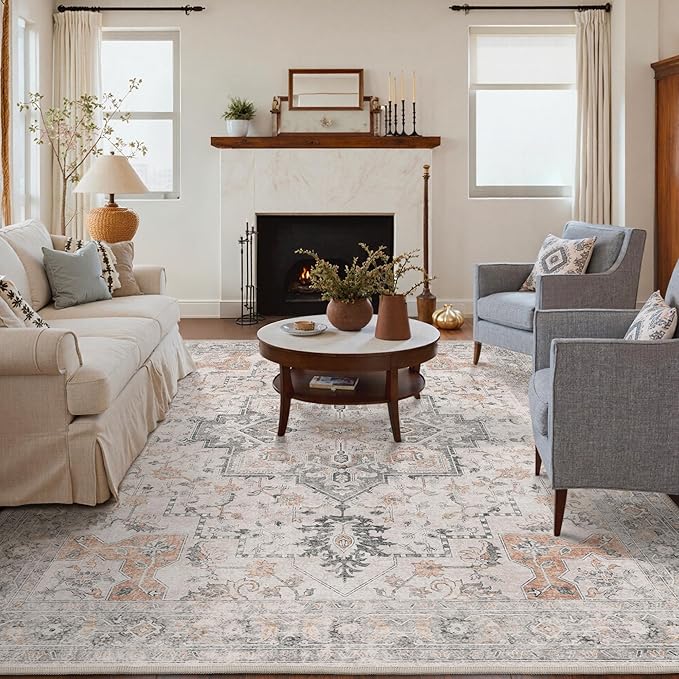 GENIMO 6x9 Area Rugs for Living Room, Machine Washable Low Pile Rugs, Chenille Non Alip Vintage Rug for Bedroom, Dining Room, Home Office, Light Taupe Brown