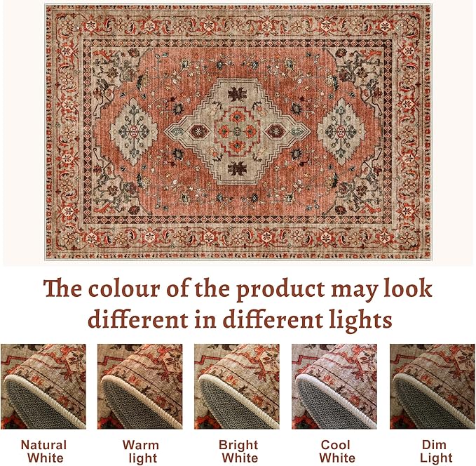 Boho Rug 4x6 Area Rug, Washable Vintage Indoor, Oriental Non Slip Distressed Terracotta Carpet, Machine Washable Rug, Soft Low Pile Rugs Foldable Floor for Dining Room Bedroom Living Room