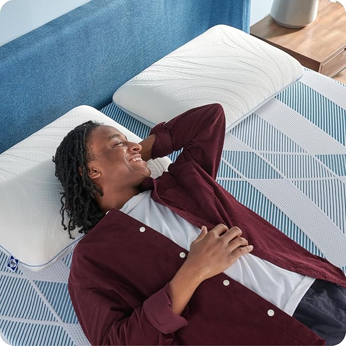Sealy Dreamlife 12” Foam Mattress-in-a-Box, King, SealyComfort Gel Memory Foam, SealySupport Transition Foam, Surface-Guard Technology